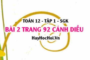 Bài 2 trang 92 Toán 12 tập 1 Cánh Diều